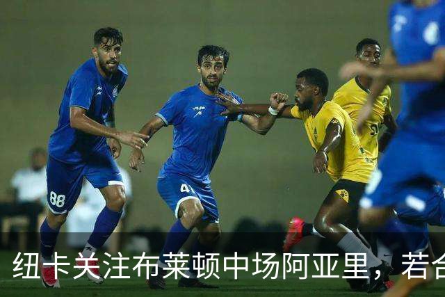 纽卡关注布莱顿中场阿亚里，若合同谈判无进展可能一月出手